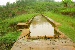 P1266571-copy-scaled